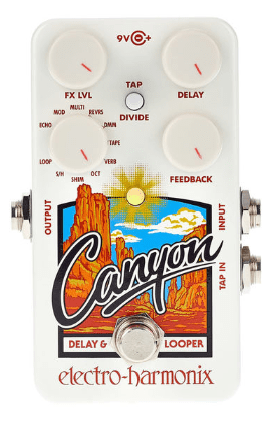 caymon pedal delay y looper
